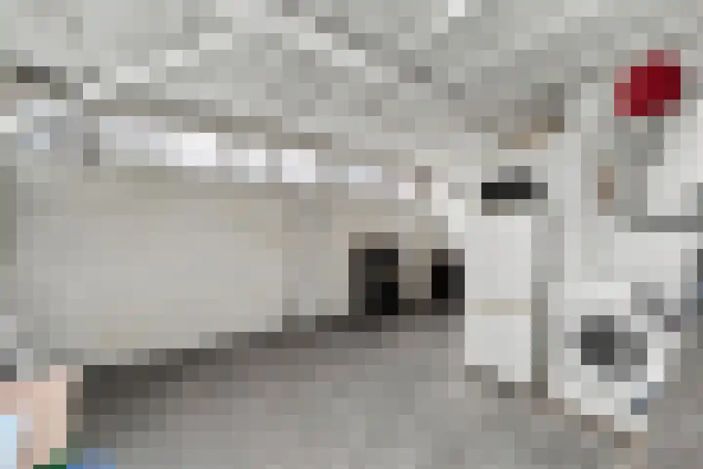 Zandstraat 8 Middelburg thumbnail 7