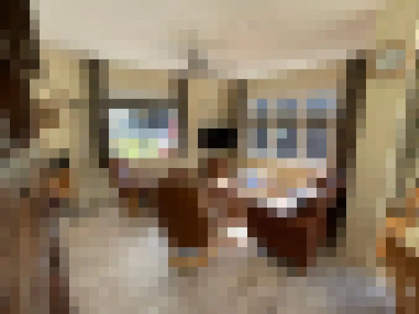 Zandstraat 84 Sas van Gent thumbnail 11