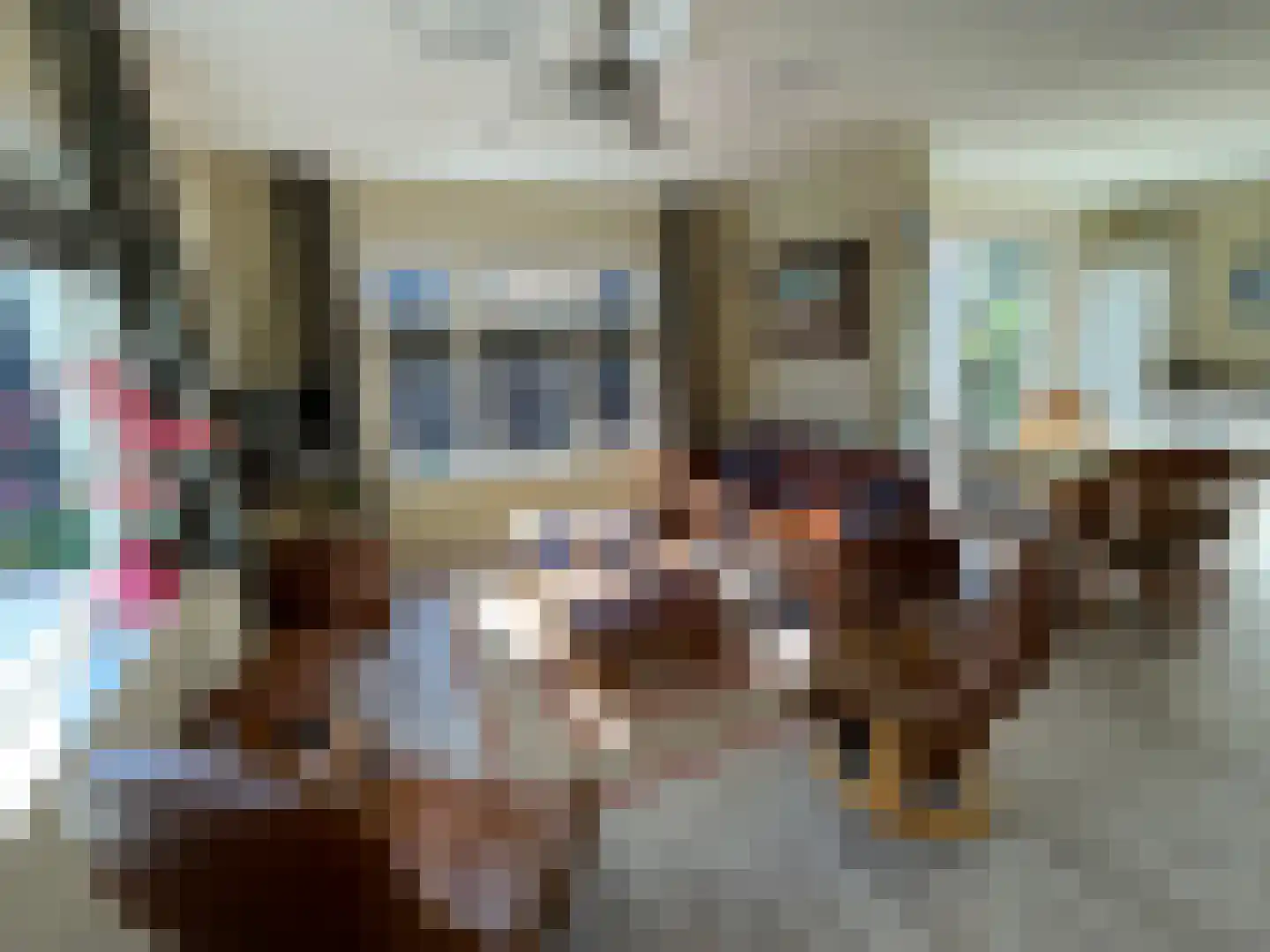 Zandstraat 84 Sas van Gent thumbnail 13
