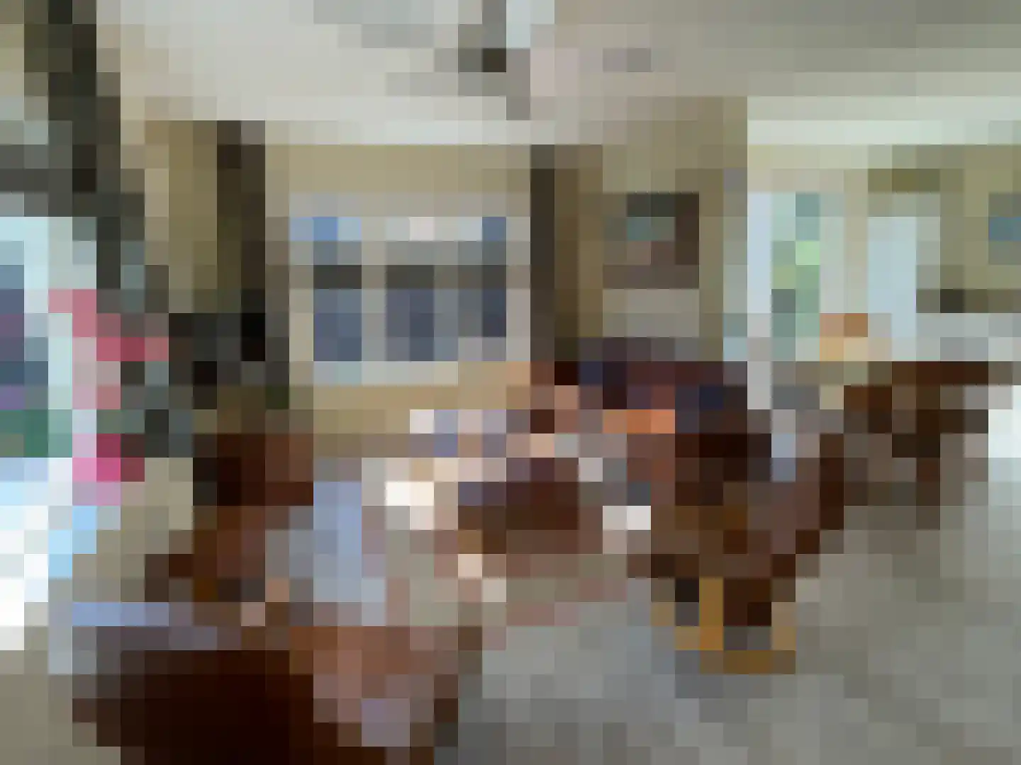 Zandstraat 84 Sas van Gent thumbnail 14