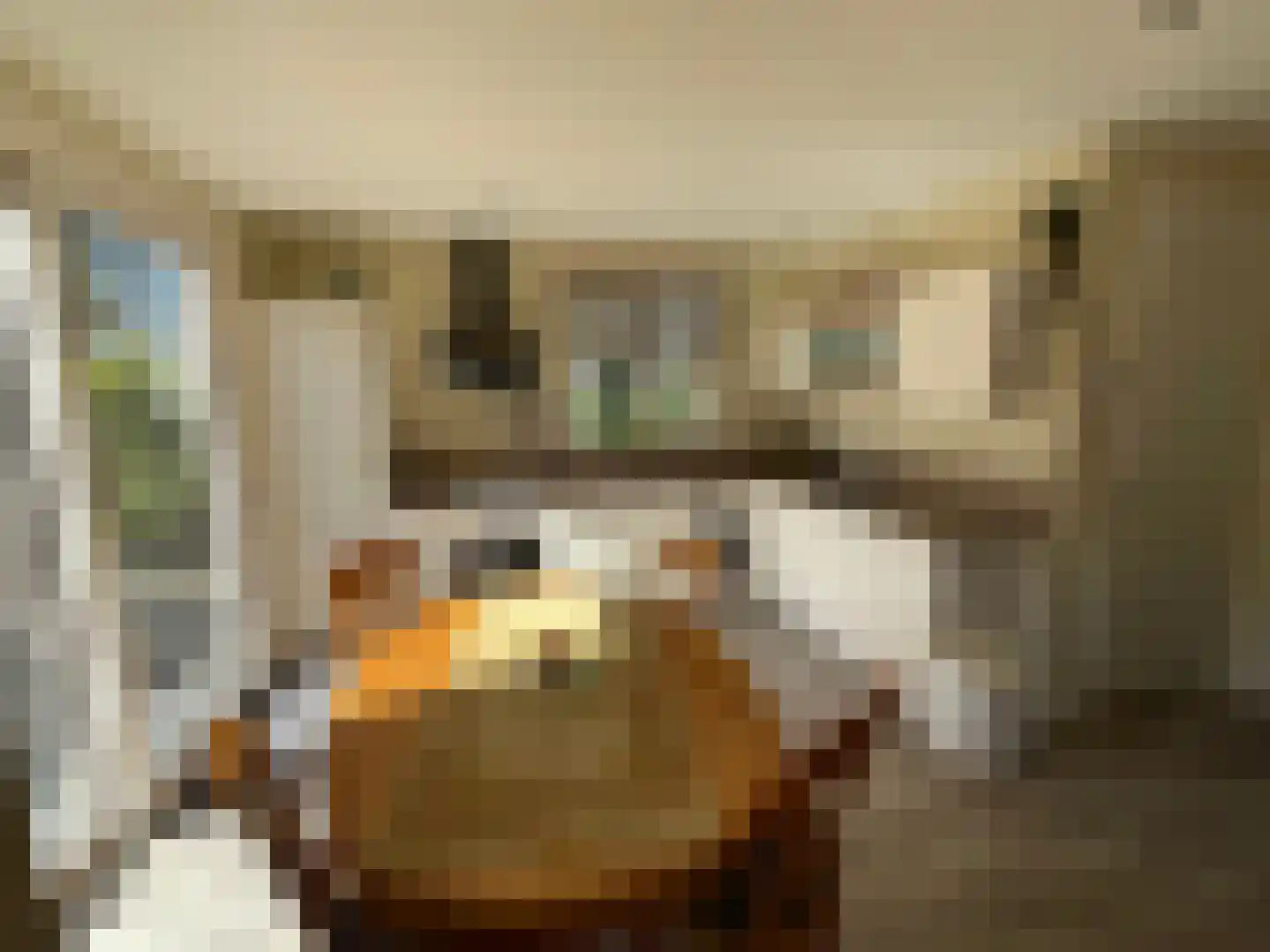 Zandstraat 84 Sas van Gent thumbnail 16