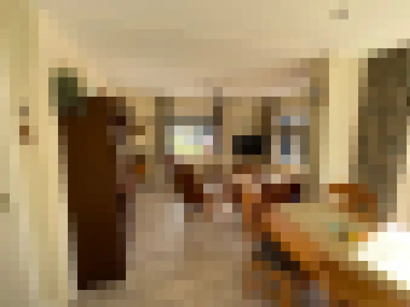 Zandstraat 84 Sas van Gent thumbnail 18
