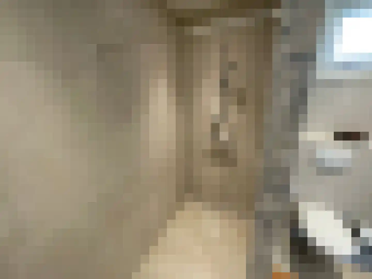 Zandstraat 84 Sas van Gent thumbnail 25