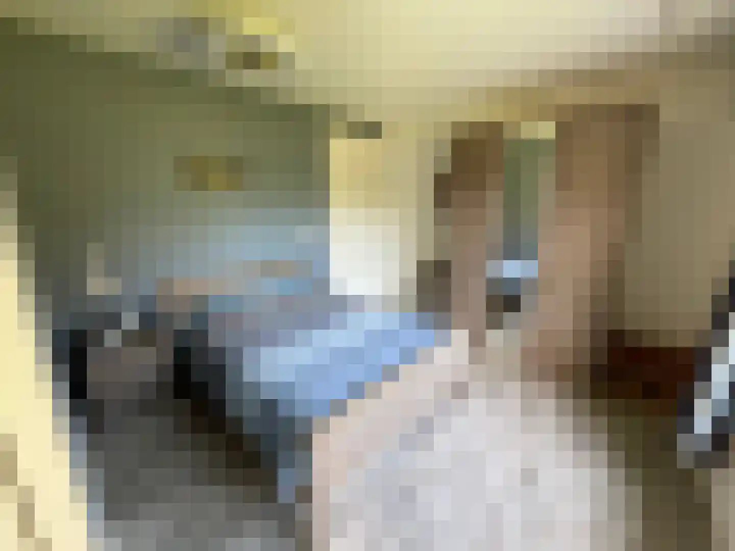 Zandstraat 84 Sas van Gent thumbnail 30