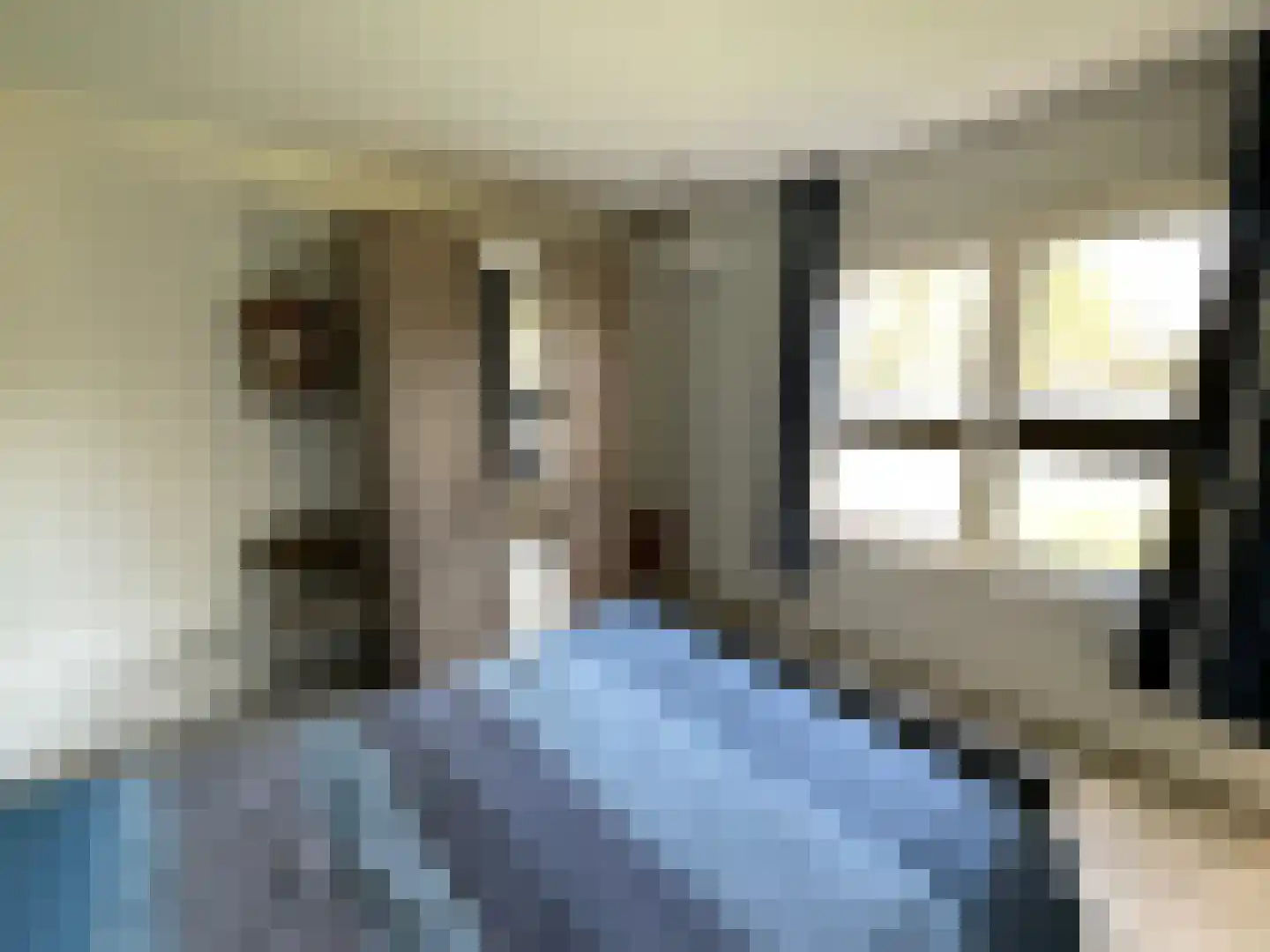 Zandstraat 84 Sas van Gent thumbnail 31