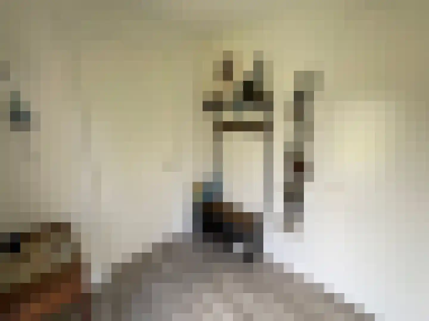 Zandstraat 84 Sas van Gent thumbnail 6