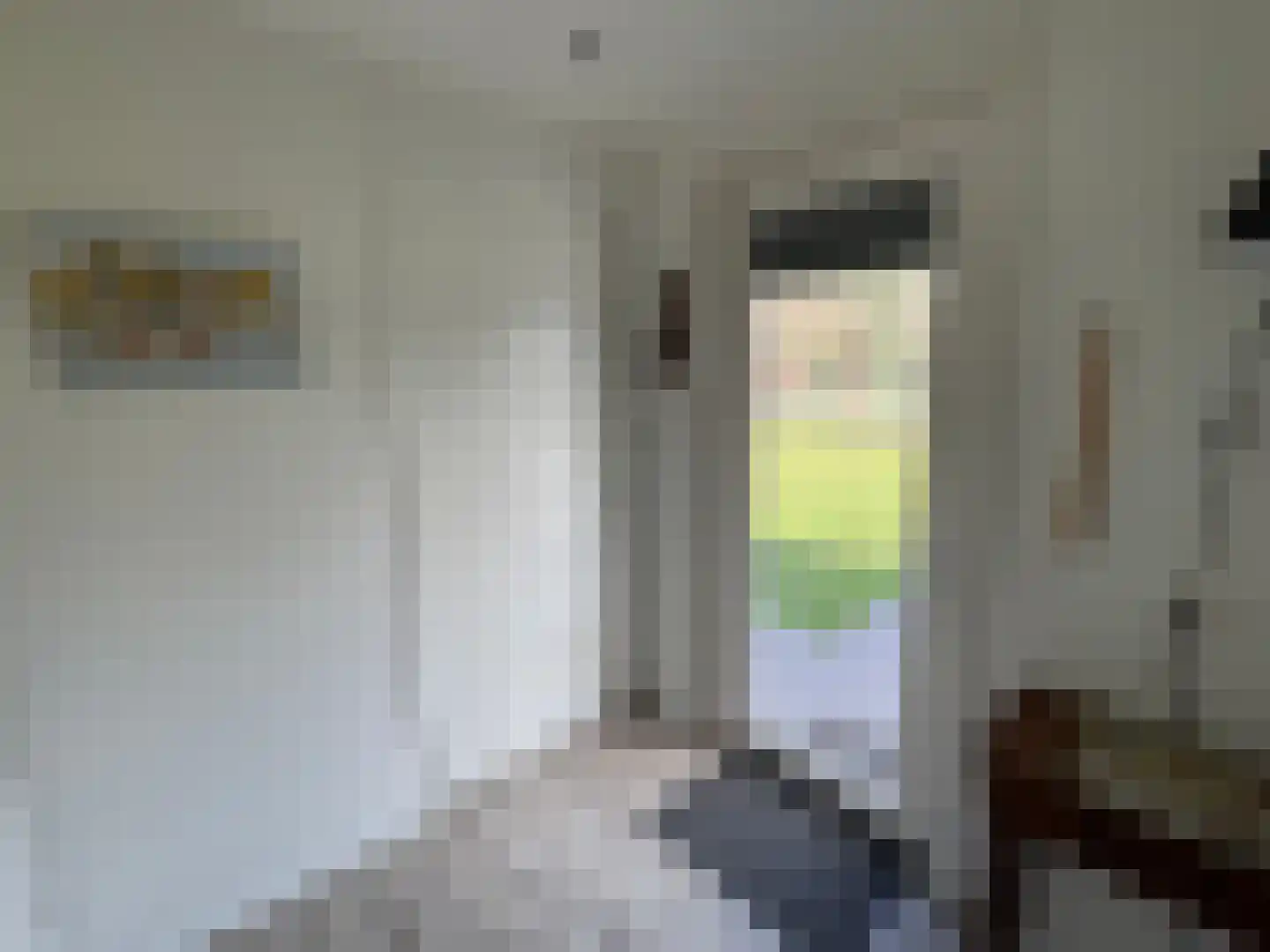 Zandstraat 84 Sas van Gent thumbnail 7