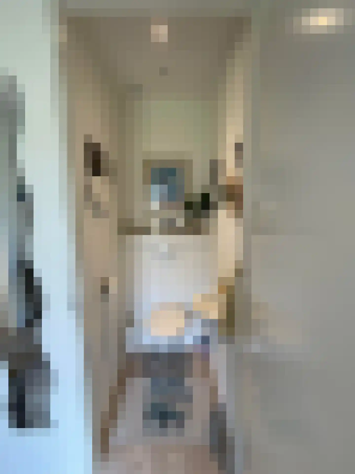 Zandstraat 84 Sas van Gent thumbnail 8