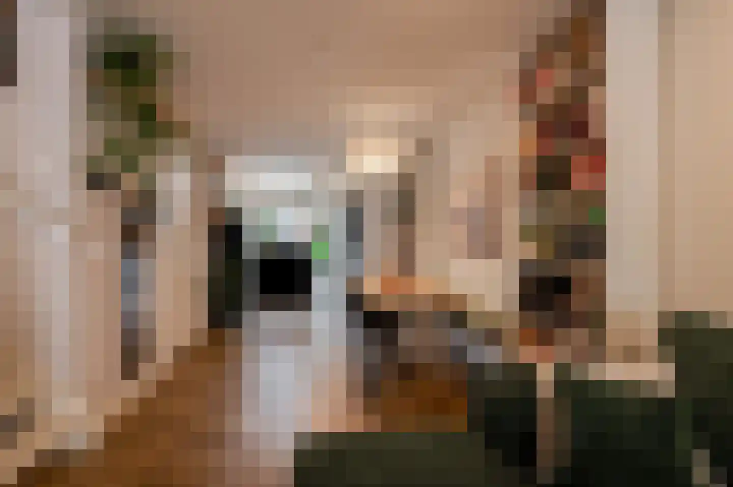 Zandstraat 86 Culemborg thumbnail 10