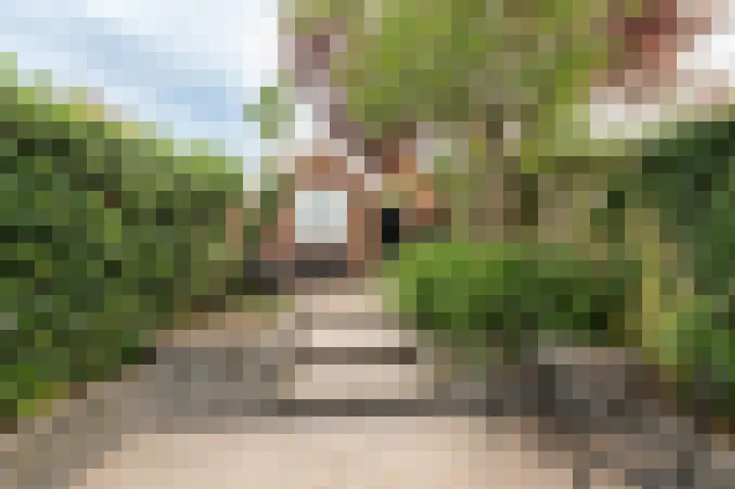 Zandstraat 86 Culemborg thumbnail 20
