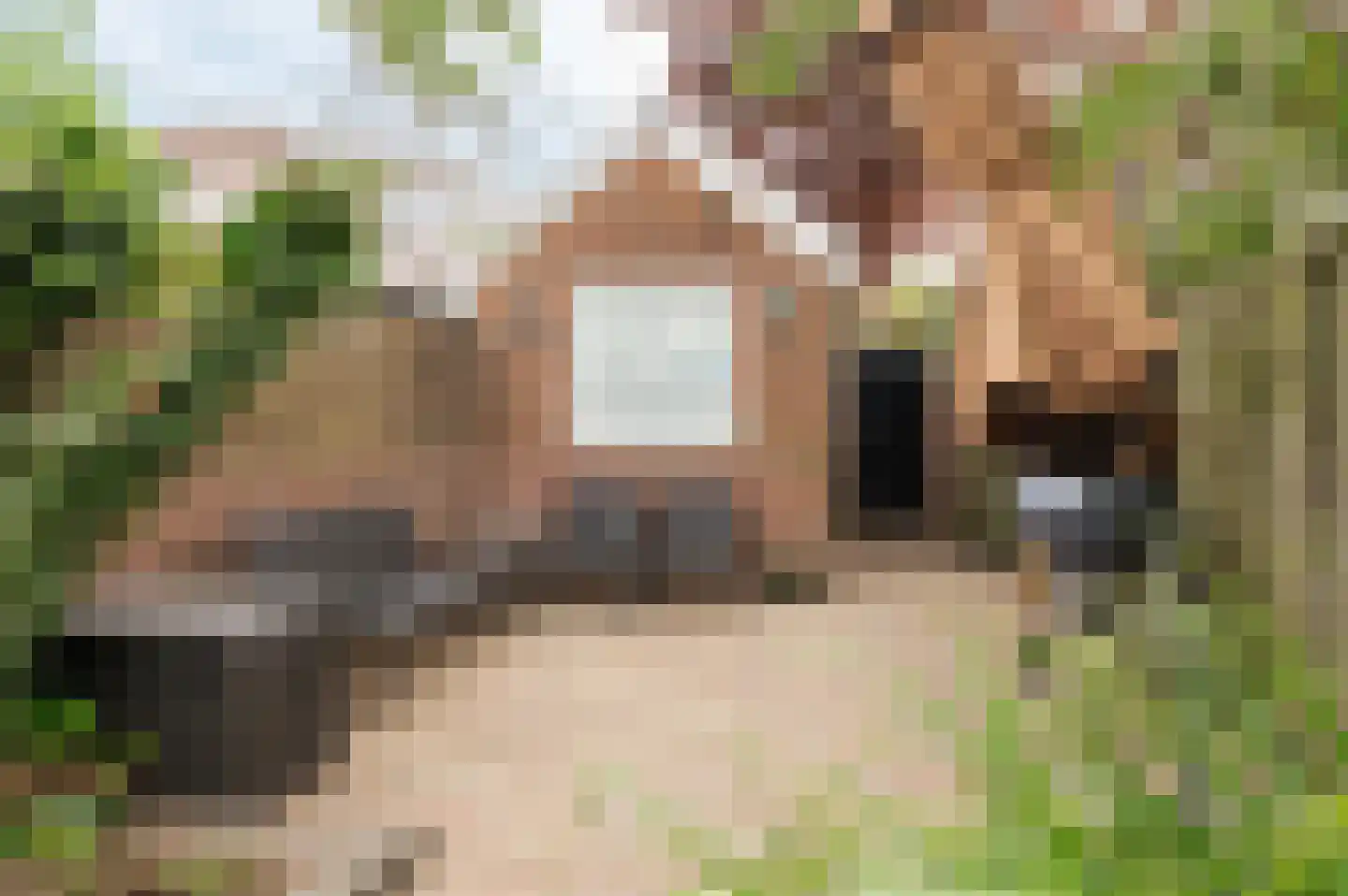 Zandstraat 86 Culemborg thumbnail 21