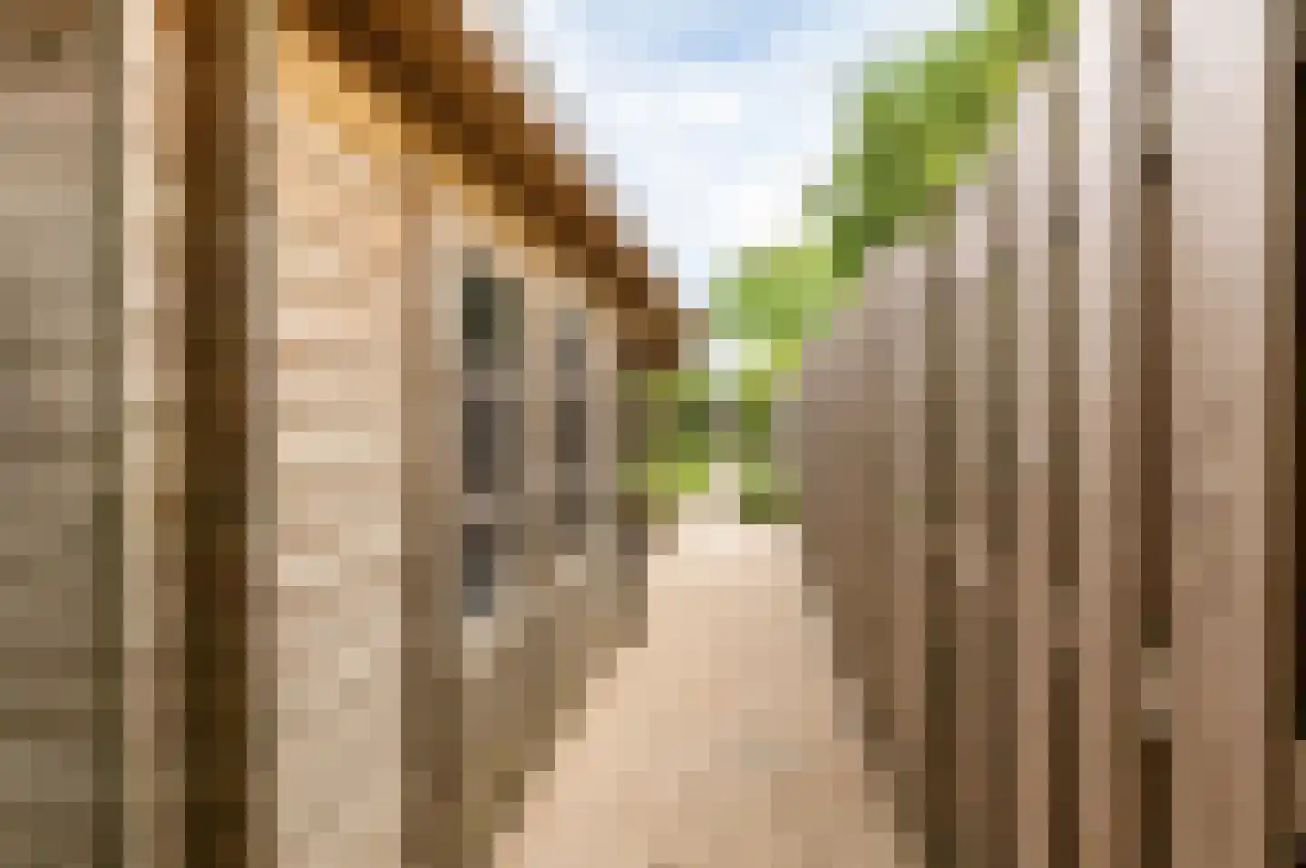 Zandstraat 86 Culemborg thumbnail 25
