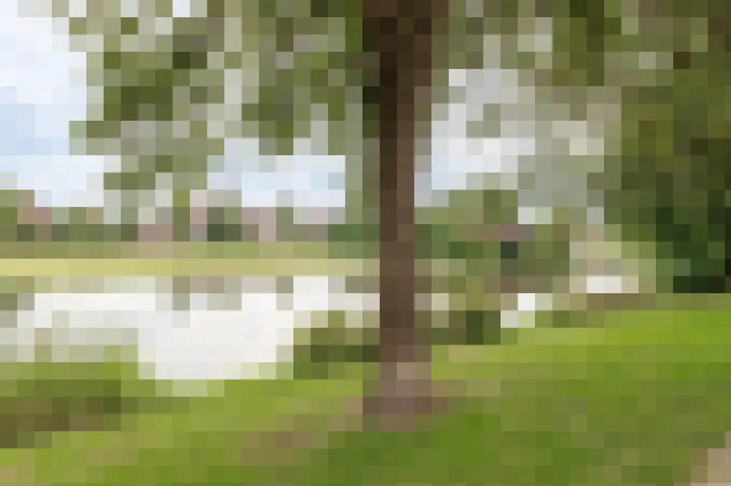 Zandstraat 86 Culemborg thumbnail 47
