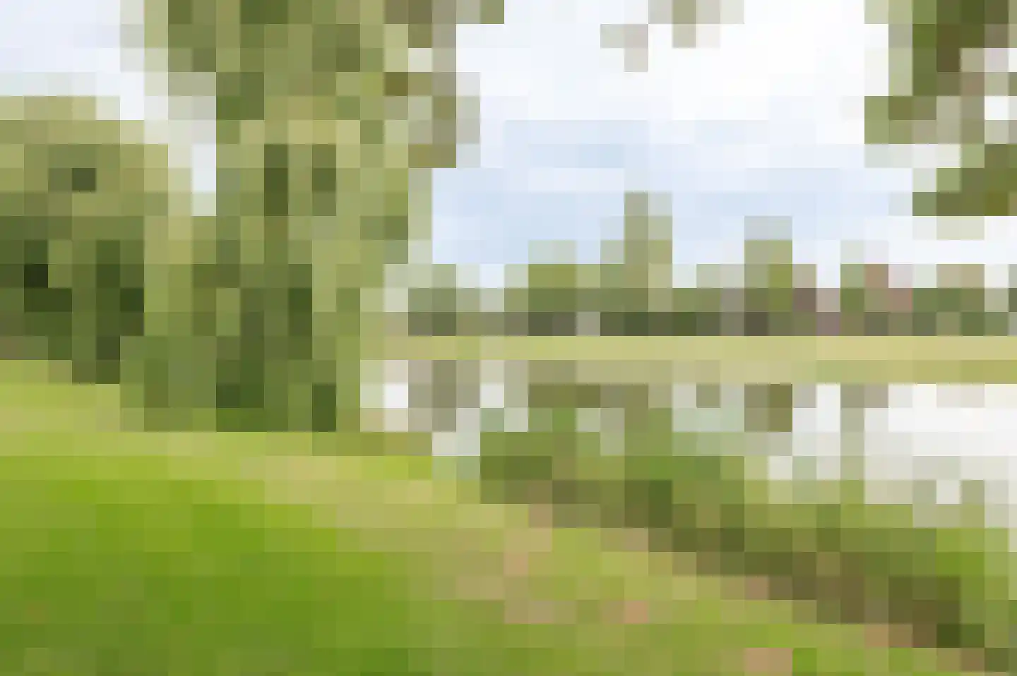 Zandstraat 86 Culemborg thumbnail 48