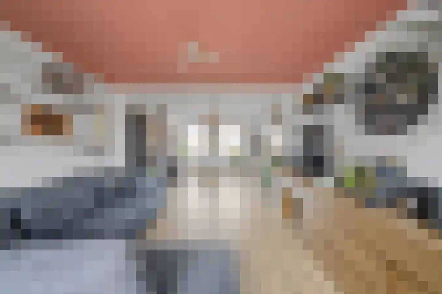 Zandstraat 89 Sas van Gent thumbnail 10