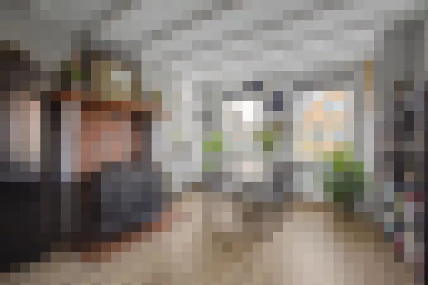 Zandstraat 89 Sas van Gent thumbnail 11
