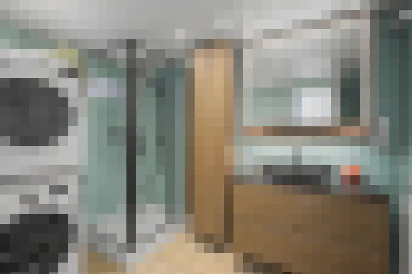 Zandstraat 89 Sas van Gent thumbnail 22