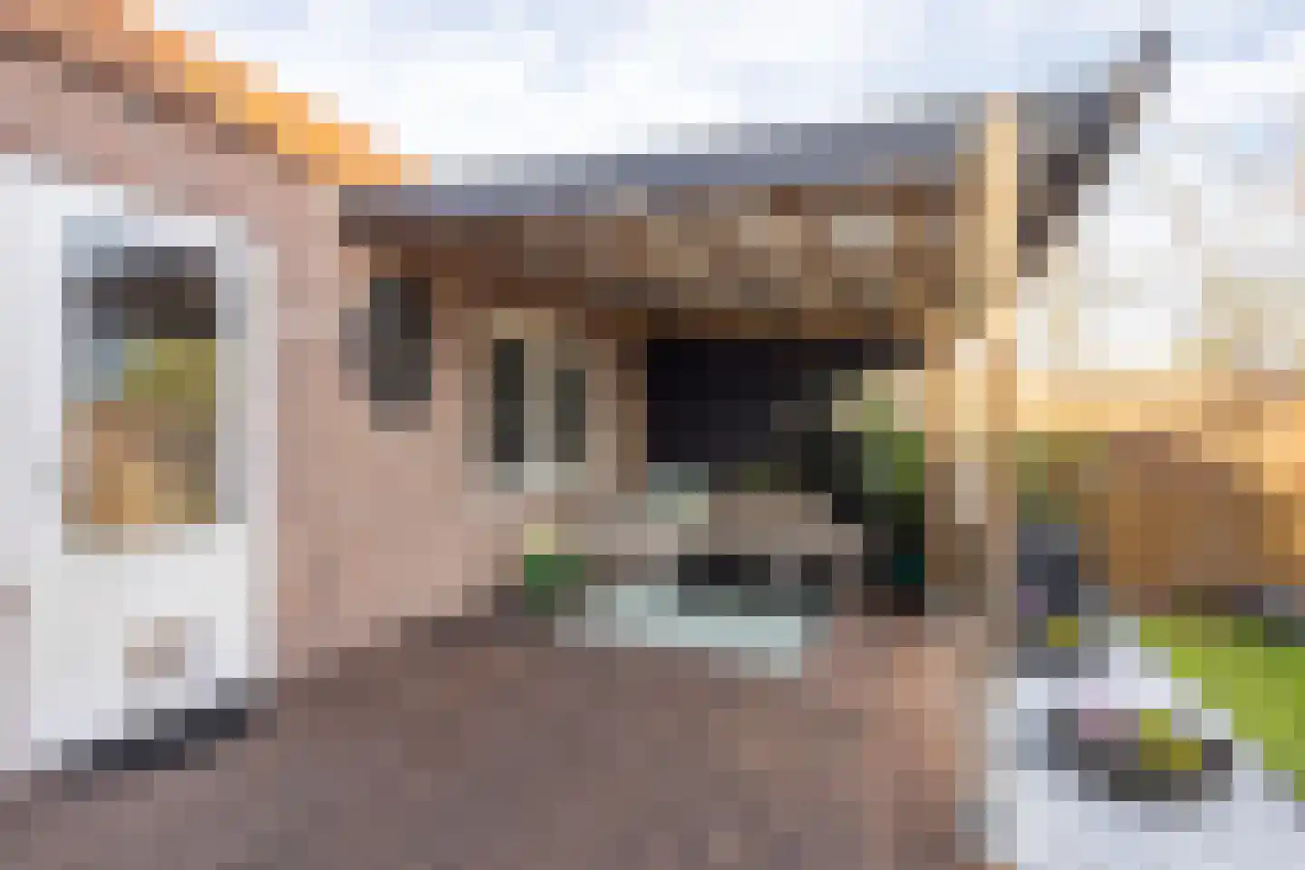 Zandstraat 89 Sas van Gent thumbnail 28