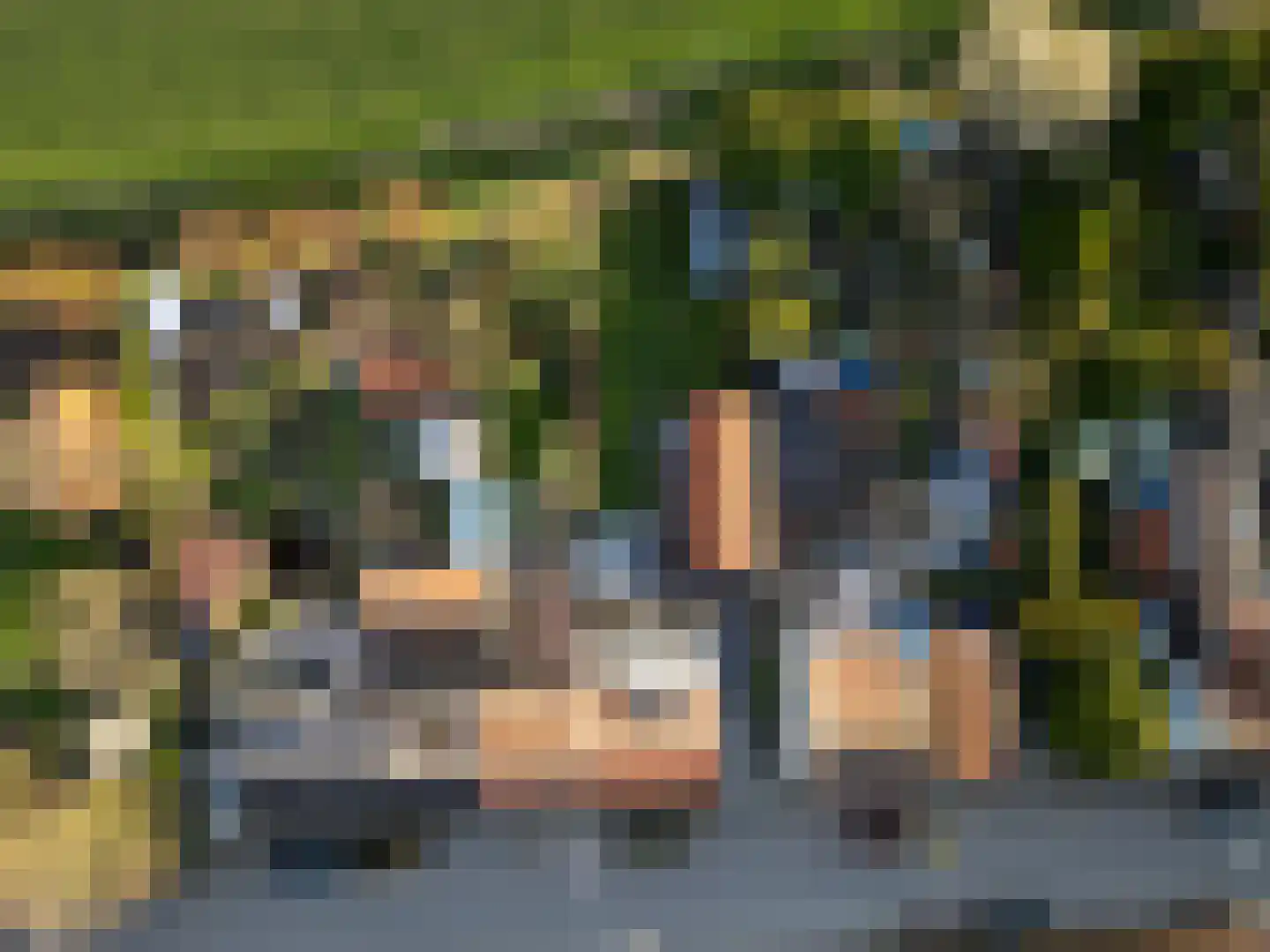 Zandstraat 89 Sas van Gent thumbnail 37