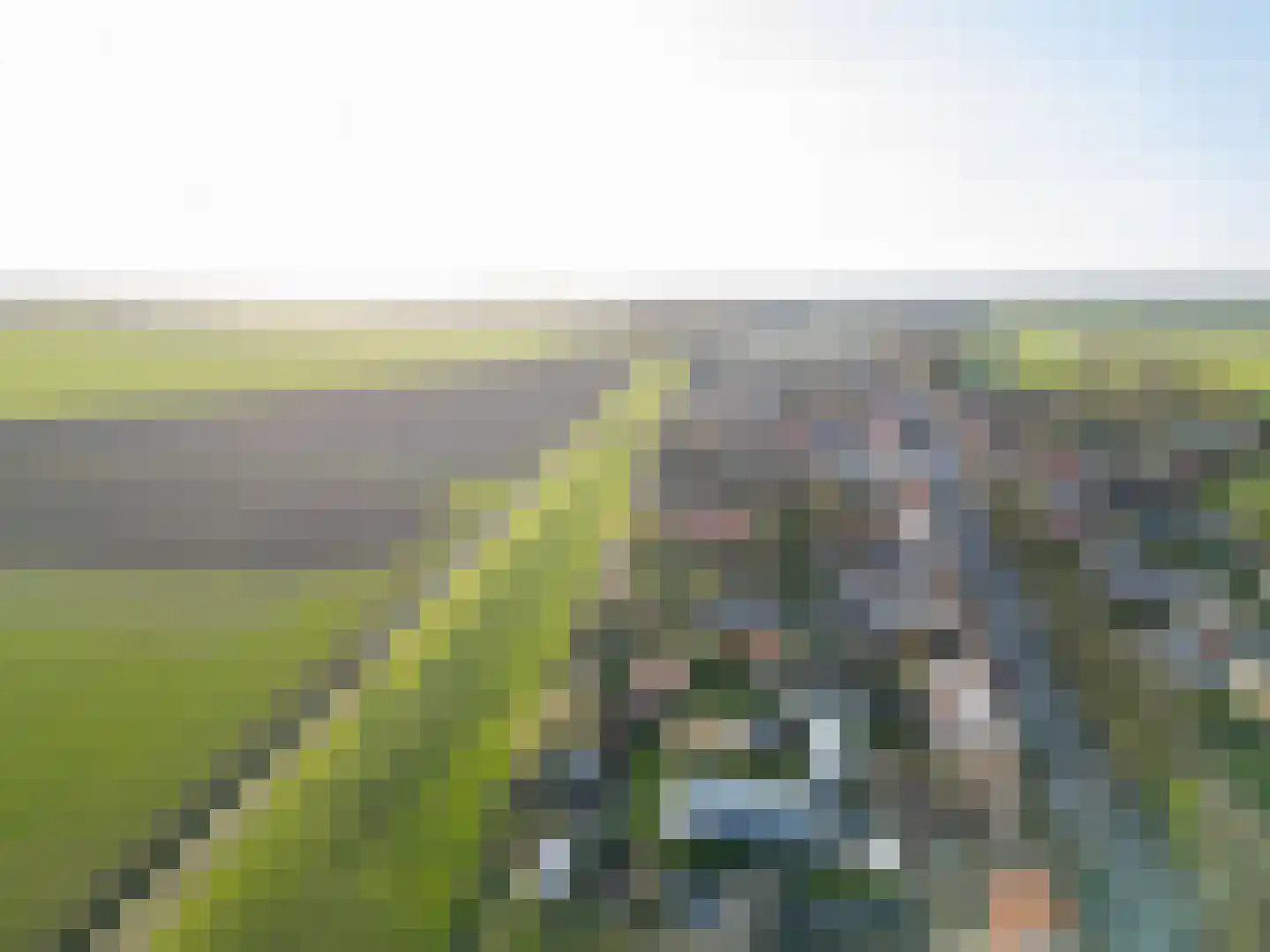 Zandstraat 89 Sas van Gent thumbnail 38
