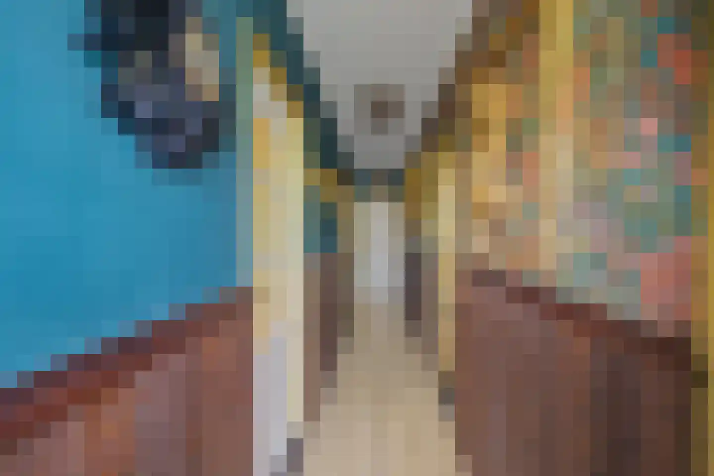 Zandstraat 89 Sas van Gent thumbnail 6