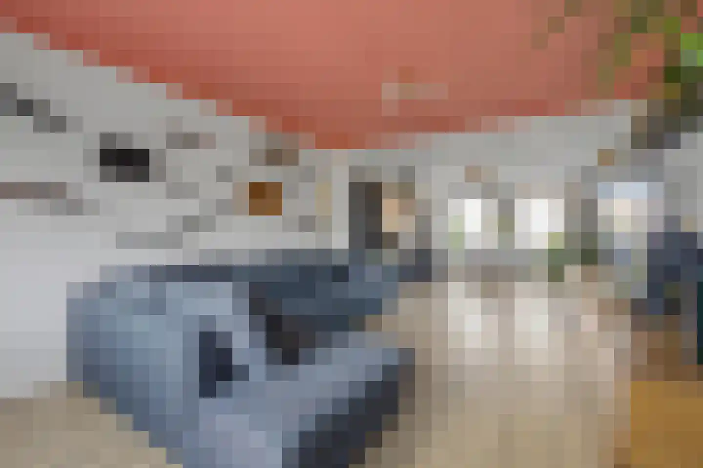 Zandstraat 89 Sas van Gent thumbnail 7