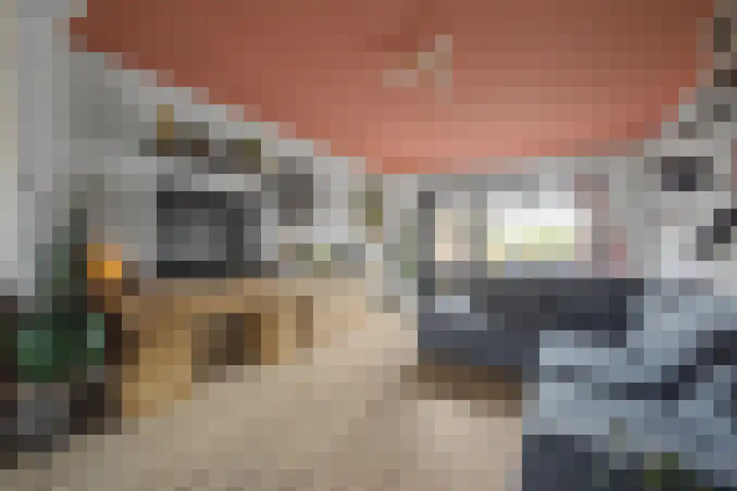 Zandstraat 89 Sas van Gent thumbnail 9