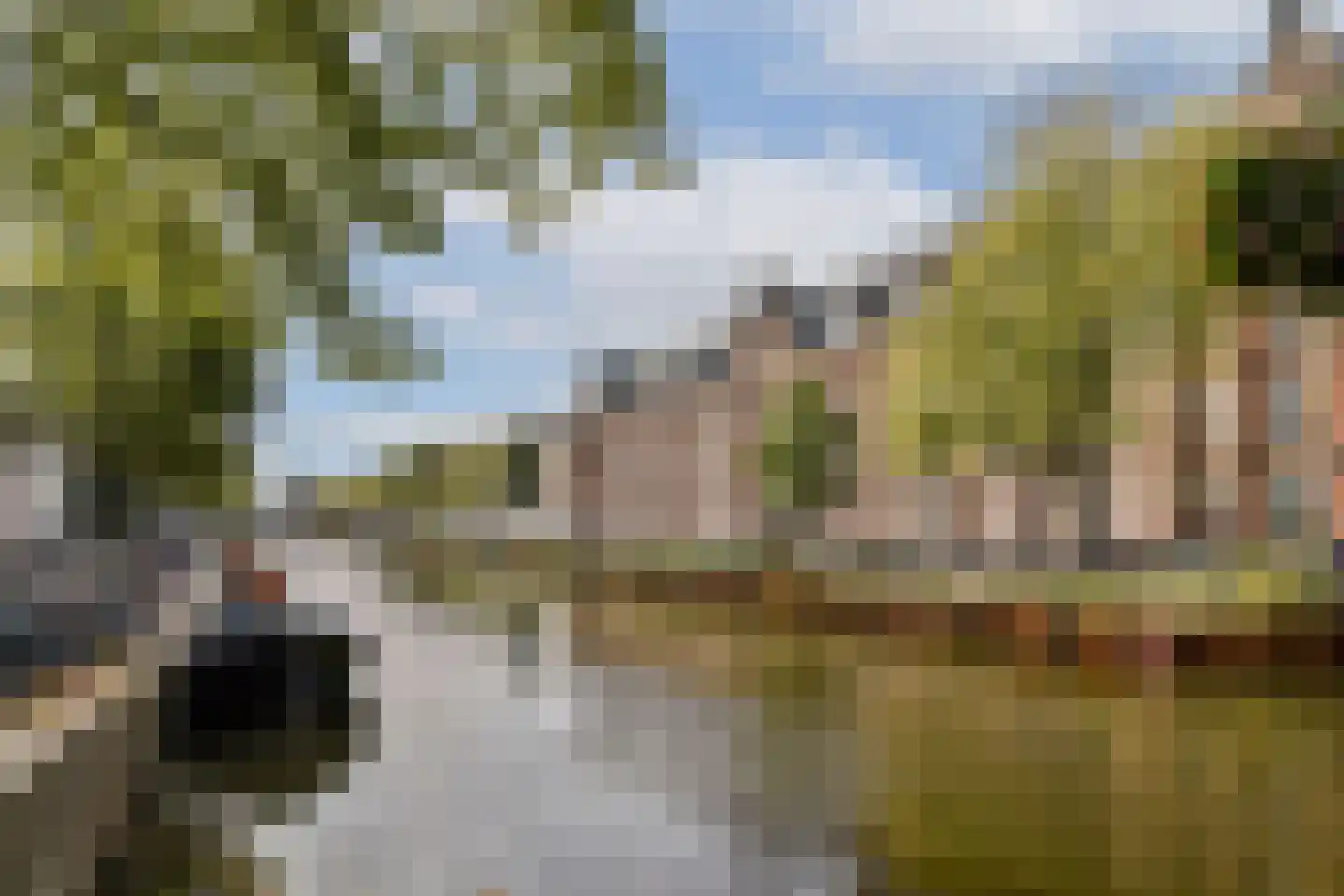 Zandstraat 9 1 Amsterdam thumbnail 18