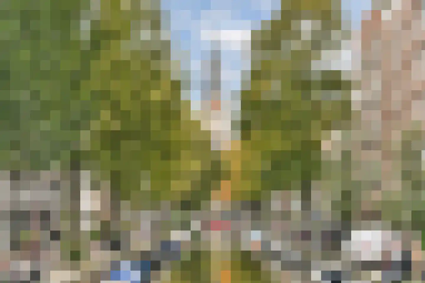 Zandstraat 9 2 Amsterdam thumbnail 19