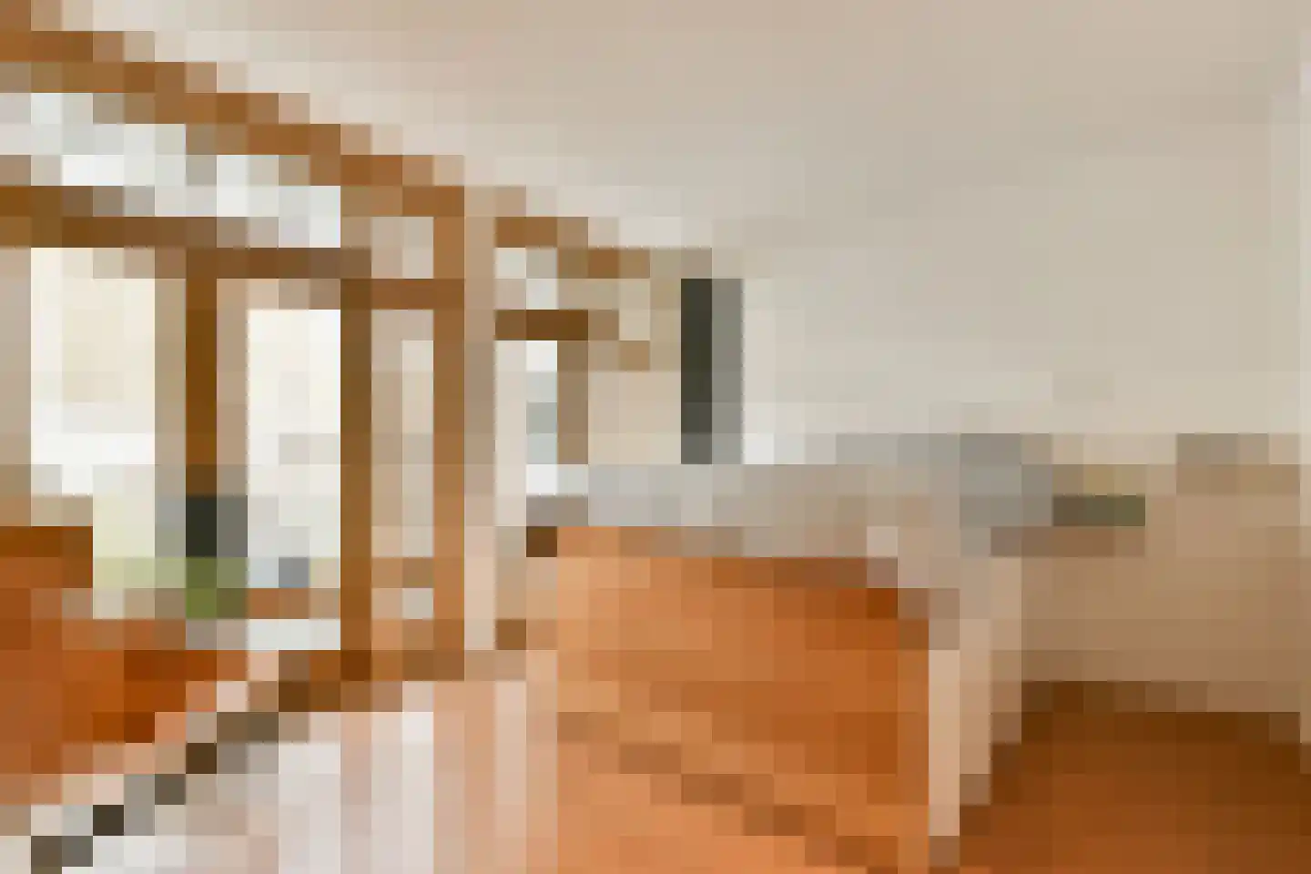 Zandstraat 9 2 Amsterdam thumbnail 7