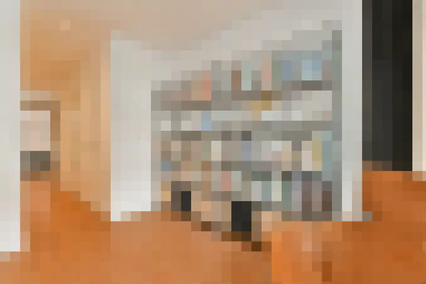Zandstraat 9 2 Amsterdam thumbnail 8