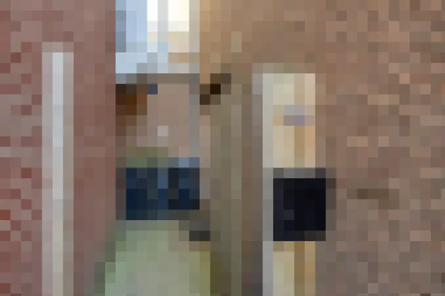 Zandstraat 95 a Beneden-Leeuwen thumbnail 34