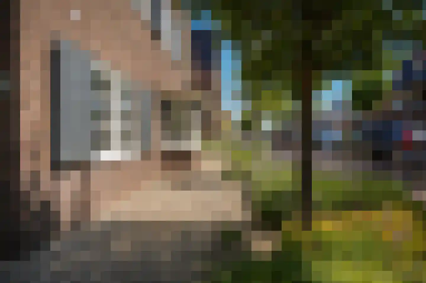 Zandstraat 96 Beneden-Leeuwen thumbnail 54