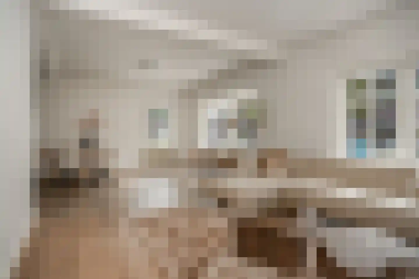 Zandstraat 96 Beneden-Leeuwen thumbnail 6