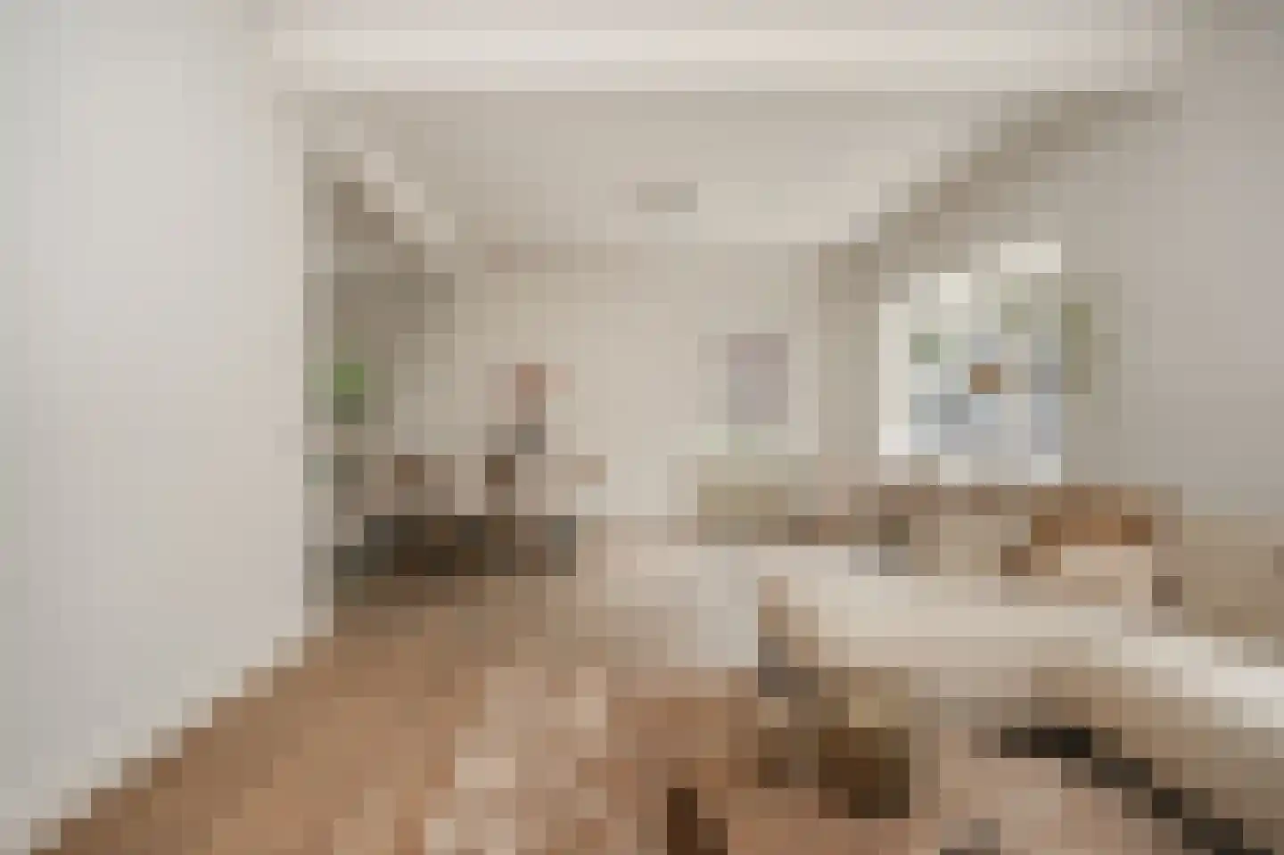 Zandstraat 96 Beneden-Leeuwen thumbnail 7
