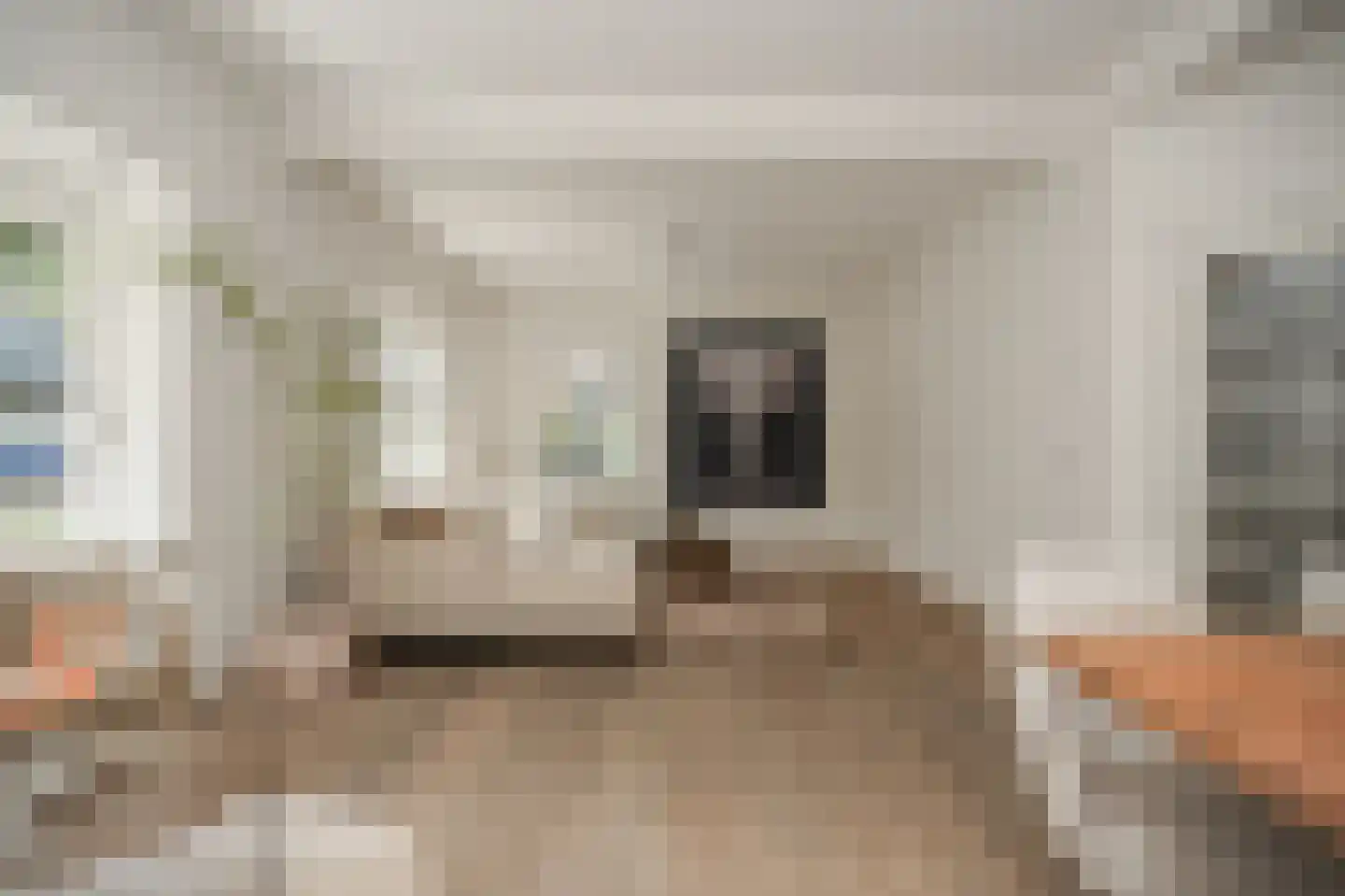 Zandstraat 96 Beneden-Leeuwen thumbnail 8