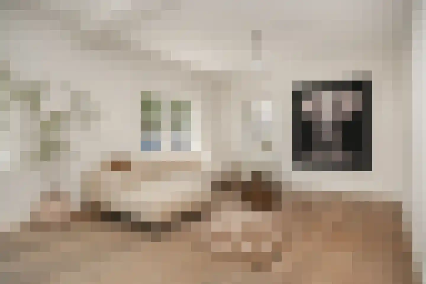 Zandstraat 96 Beneden-Leeuwen thumbnail 9