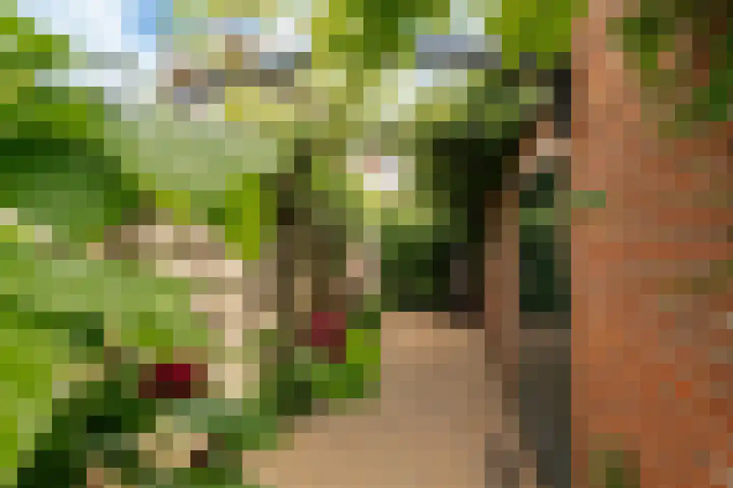 Zandstraat 96 Culemborg thumbnail 18