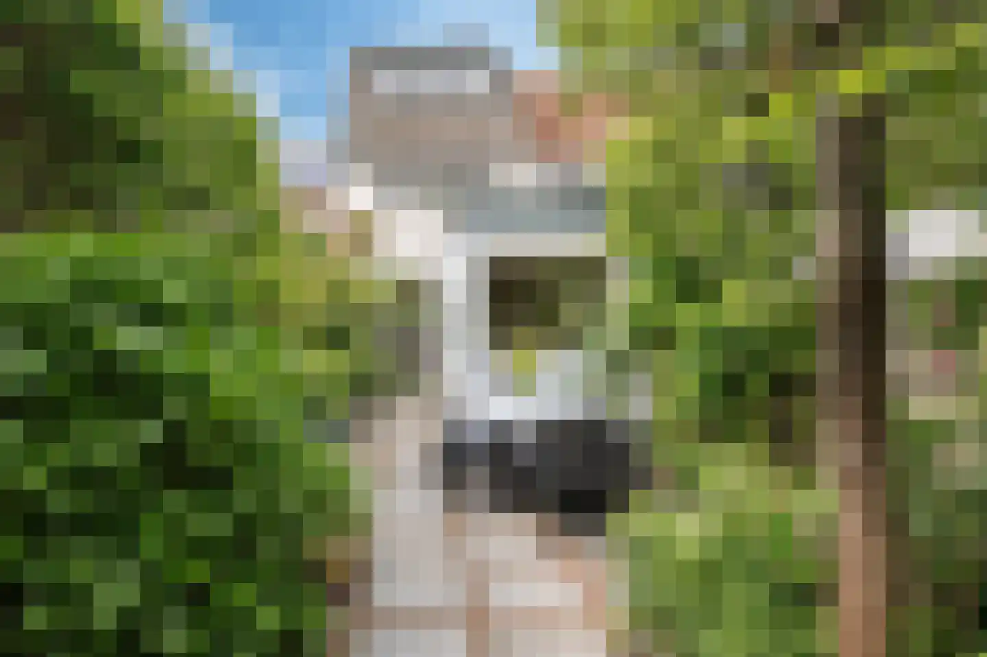 Zandstraat 96 Culemborg thumbnail 21