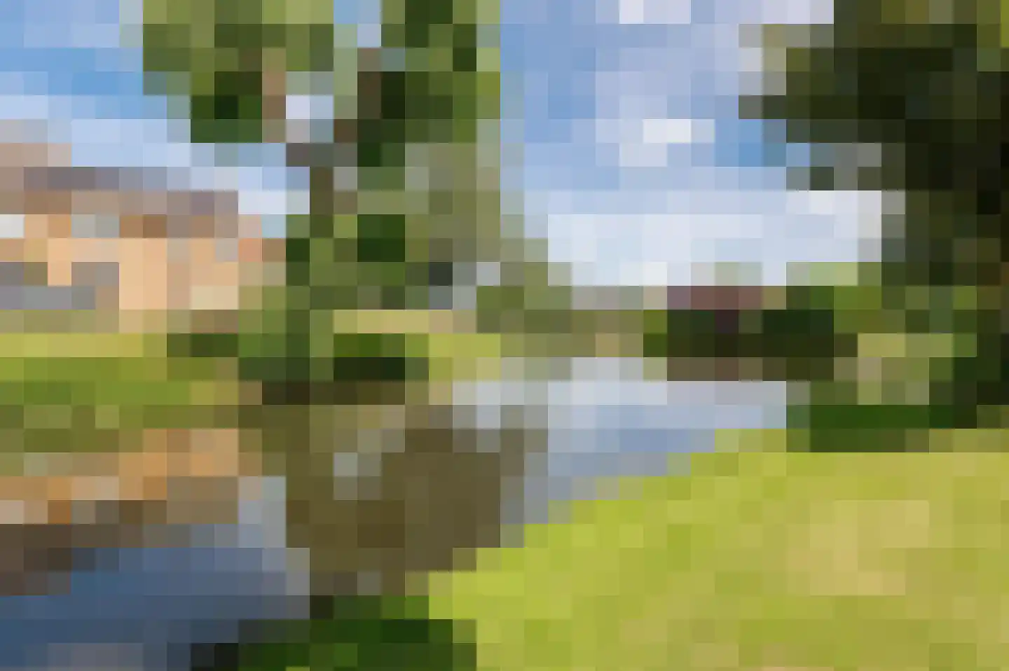 Zandstraat 96 Culemborg thumbnail 52