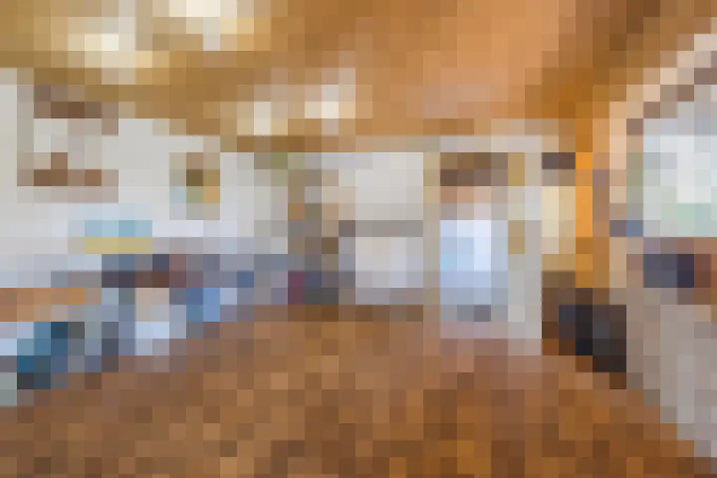 Zandstraat 97 Sas van Gent thumbnail 15