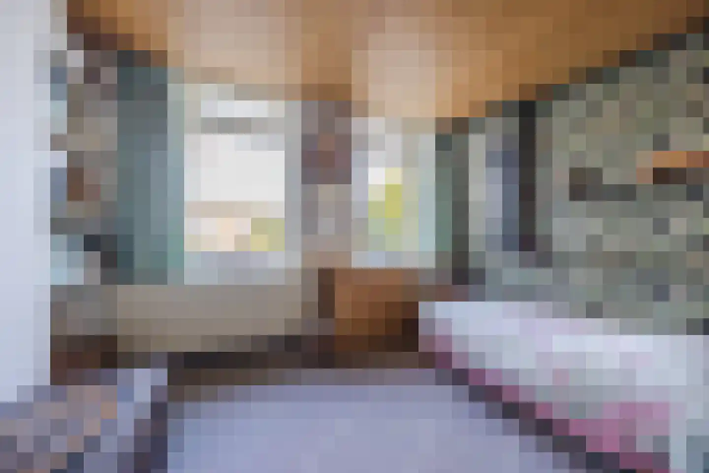 Zandstraat 97 Sas van Gent thumbnail 20