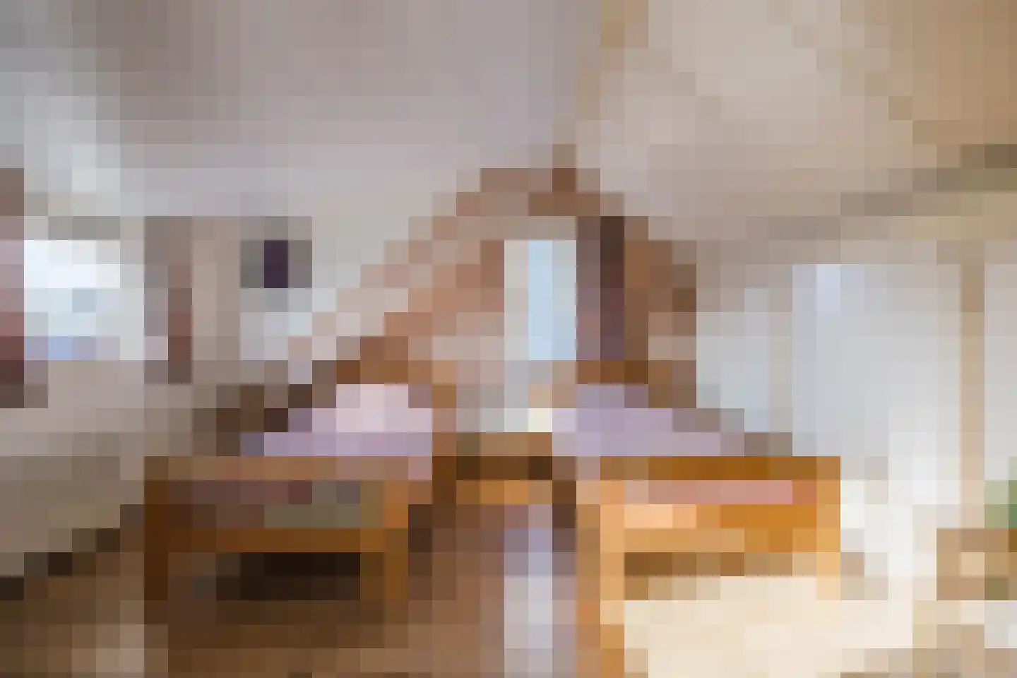 Zandstraat 97 Sas van Gent thumbnail 30