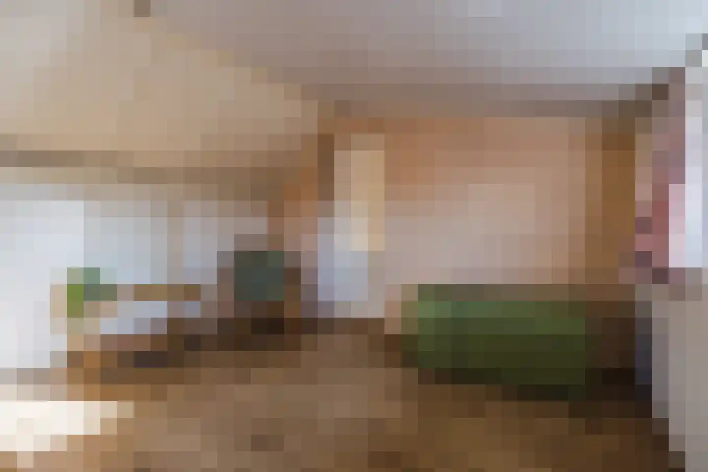 Zandstraat 97 Sas van Gent thumbnail 31
