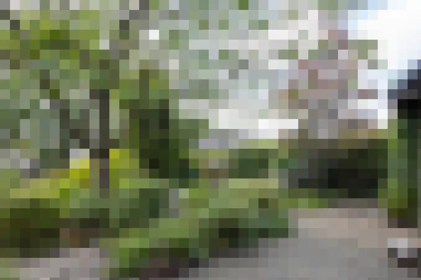 Zandstraat 97 Sas van Gent thumbnail 32