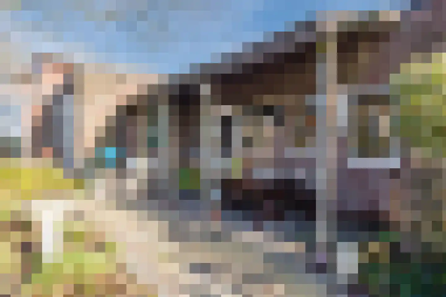 Zandstraat 97 Sas van Gent thumbnail 33