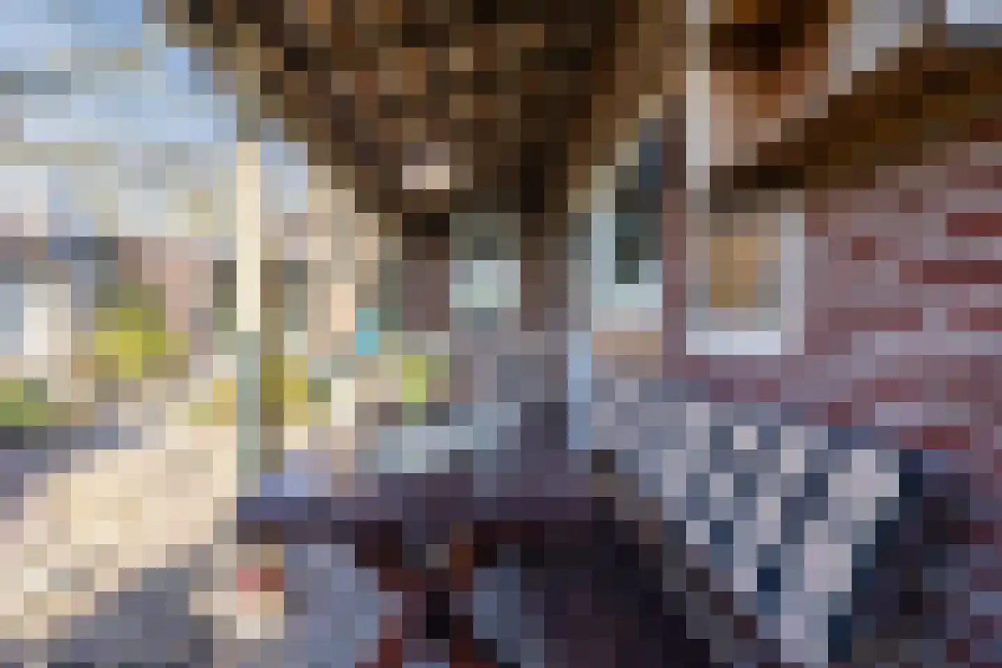 Zandstraat 97 Sas van Gent thumbnail 34