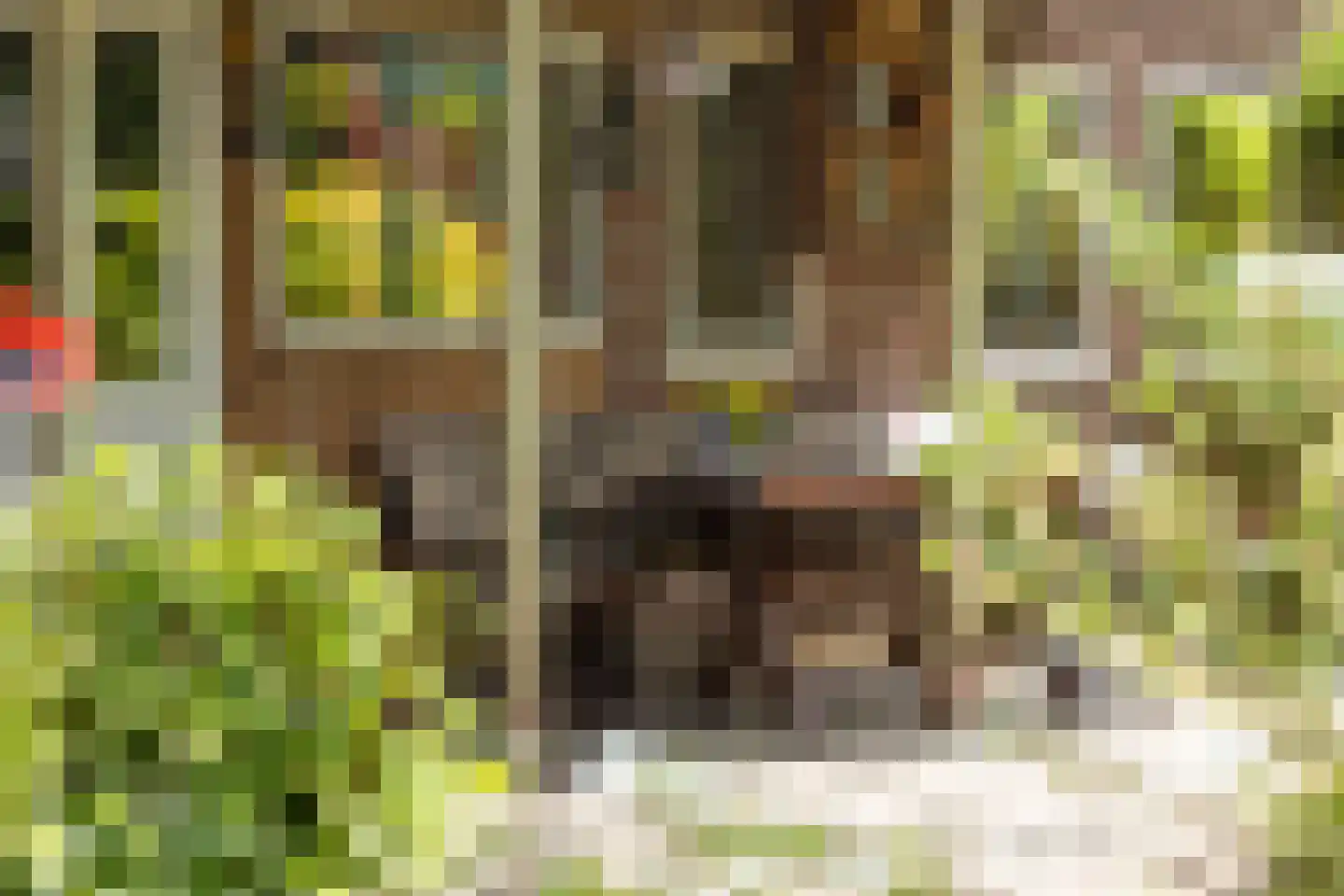 Zandstraat 97 Sas van Gent thumbnail 35