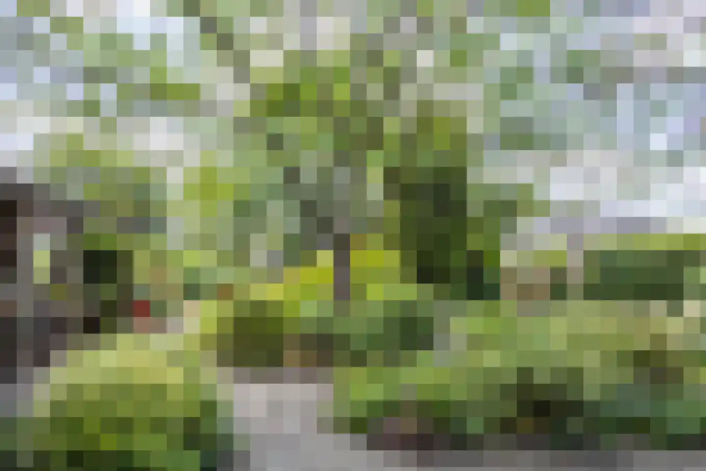 Zandstraat 97 Sas van Gent thumbnail 36