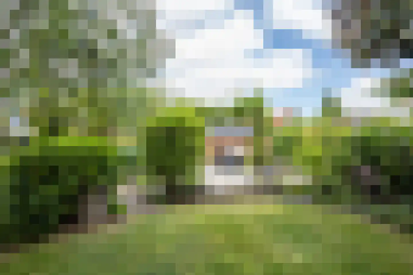 Zandstraat 97 Sas van Gent thumbnail 37